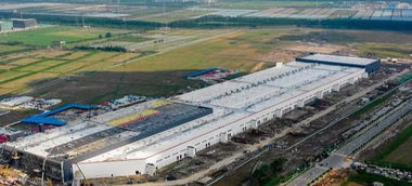 特斯拉上海工厂投产在即，本土品牌直面挑战与机遇